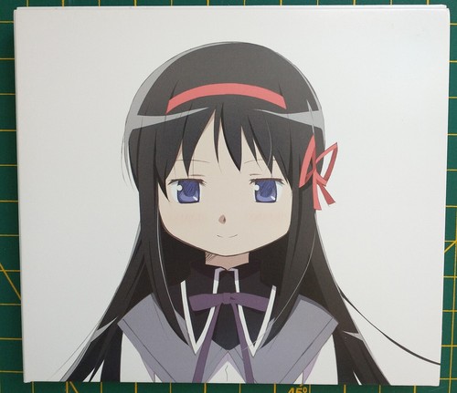Puella magi madoka magica - puella,